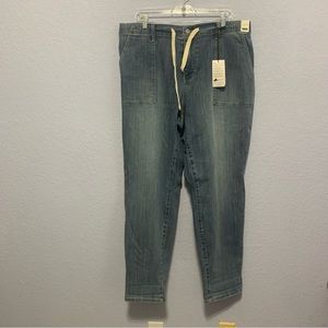 Judy Blue Hi-Rise Pull On Jogger Plus Size Jeans